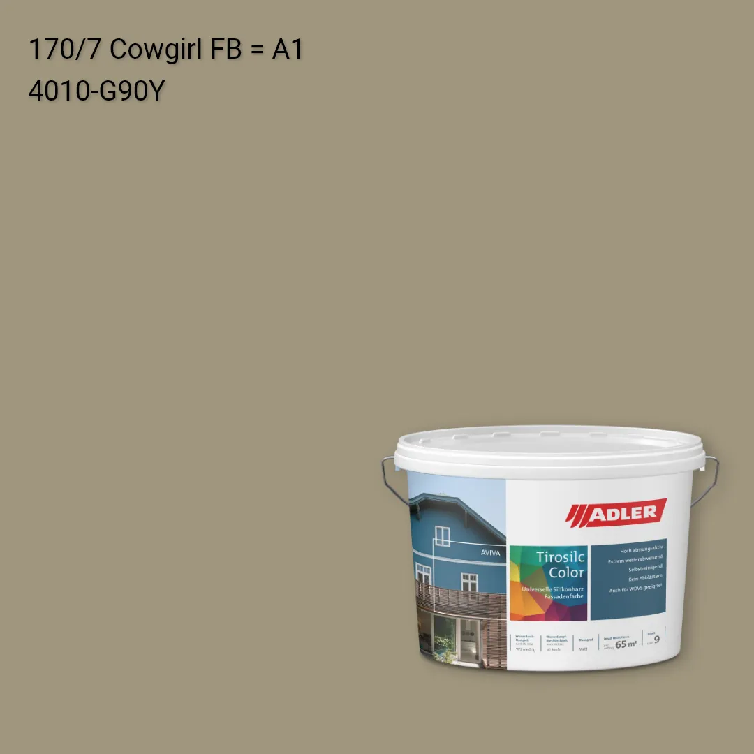 Фасадна фарба Aviva Tirosilc-Color колір C12 170/7, Adler Color 1200
