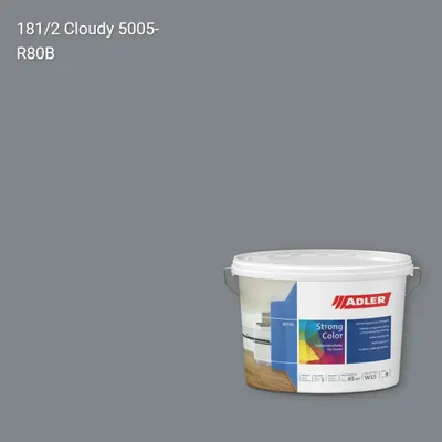Інтер'єрна фарба Aviva Strong-Color колір C12 181/2, Adler Color 1200