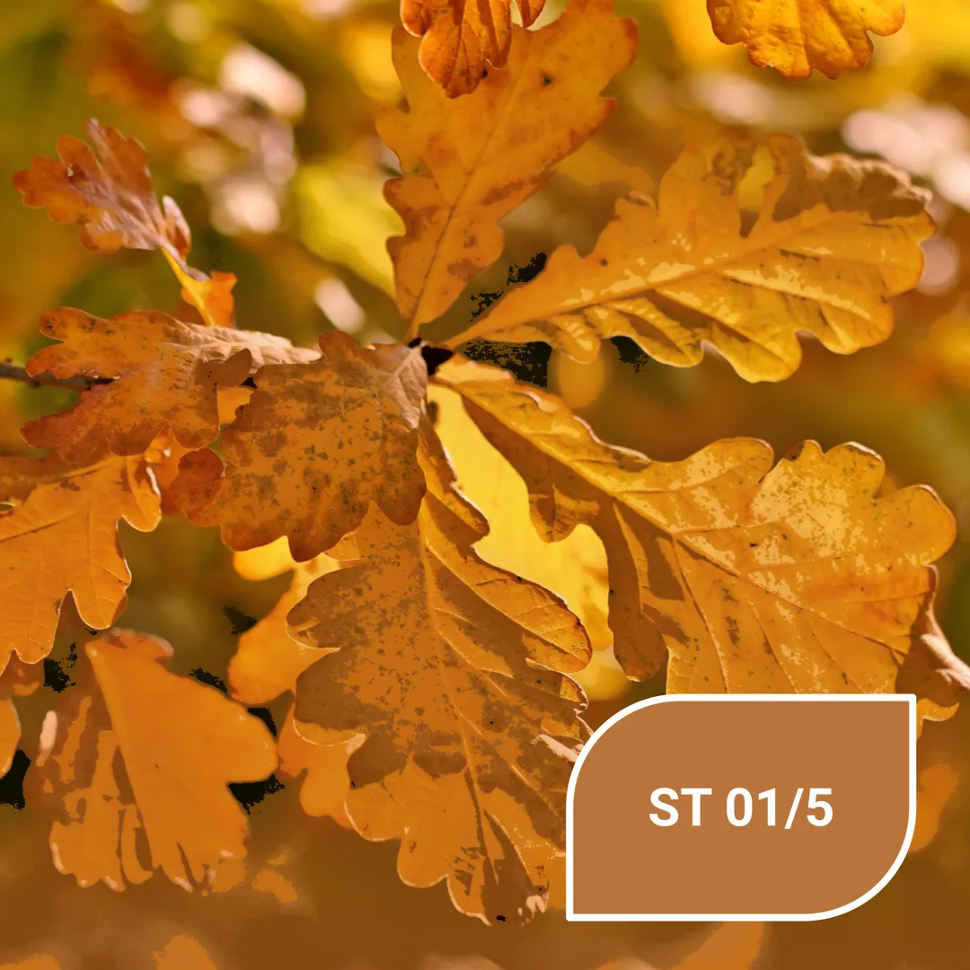 Колір Осені - ST 01/5 Autumn