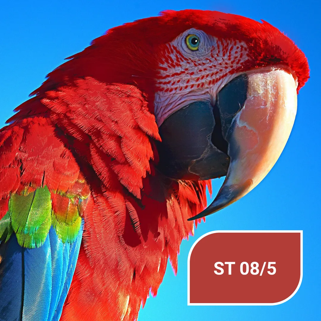 Червоний колір Stylewood ST 08/5 Ara