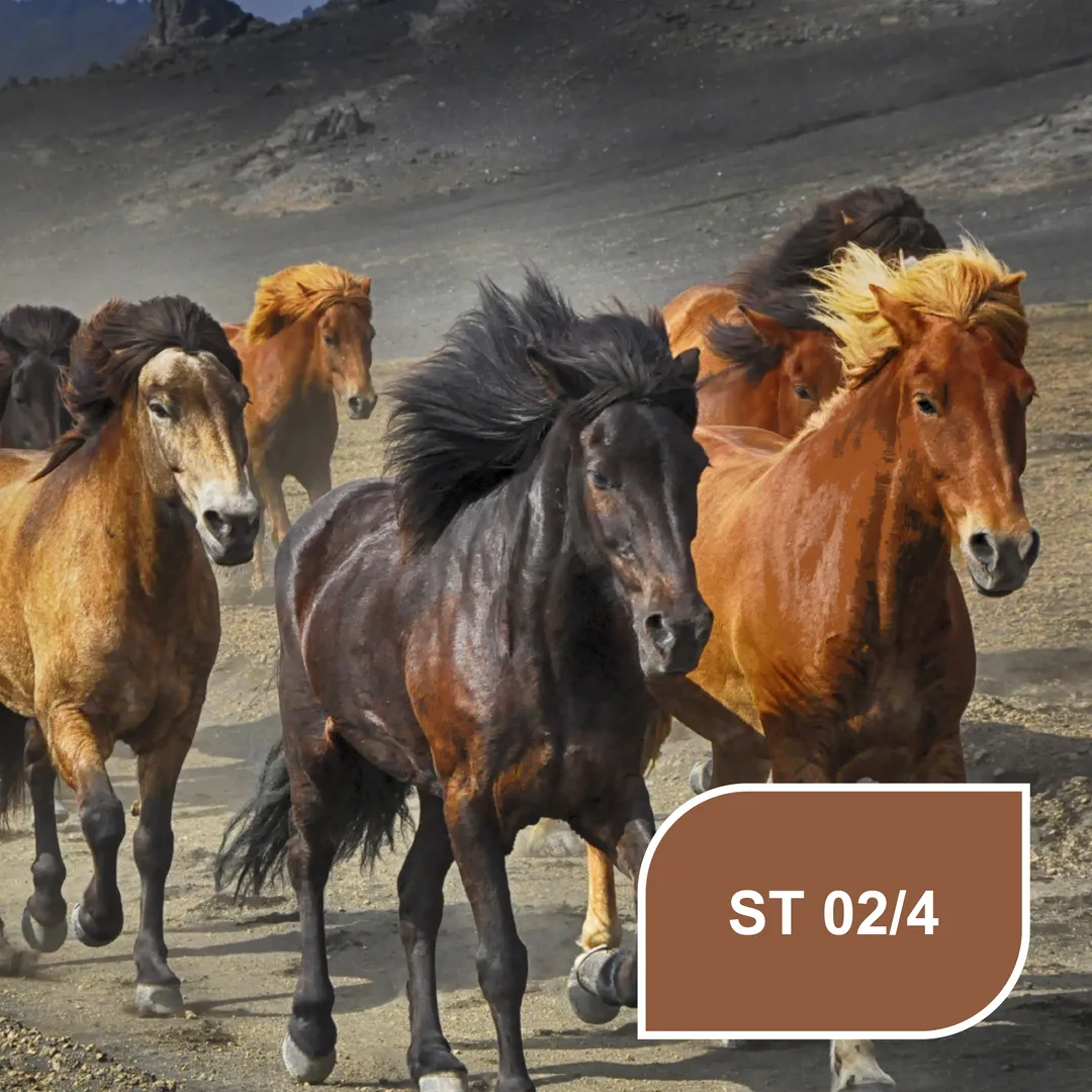 Теплий, земний колір Stylewood ST 02/4 Motion - Рух