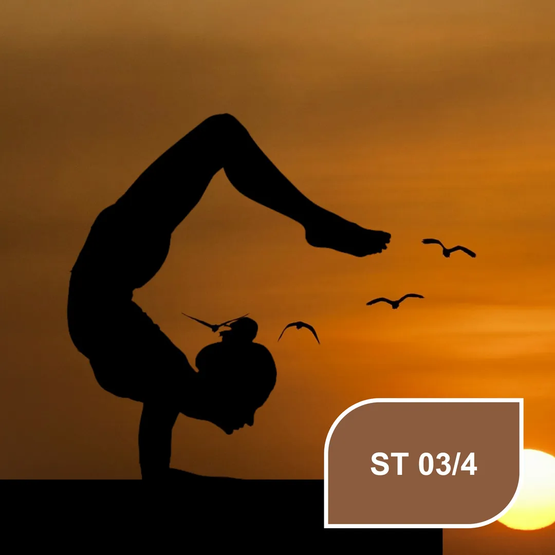 Класичний коричневий колір Stylewood ST 03/4 Yoga